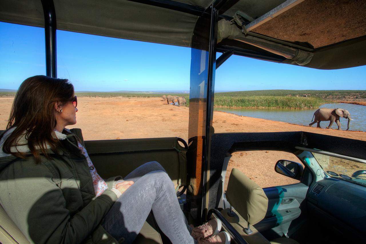 Vila De Old Drift Guest Farm Addo Exteriér fotografie